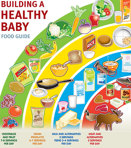 Building a Healthy Baby Food Guide Santé Terres Cries